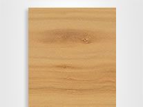 poplar
